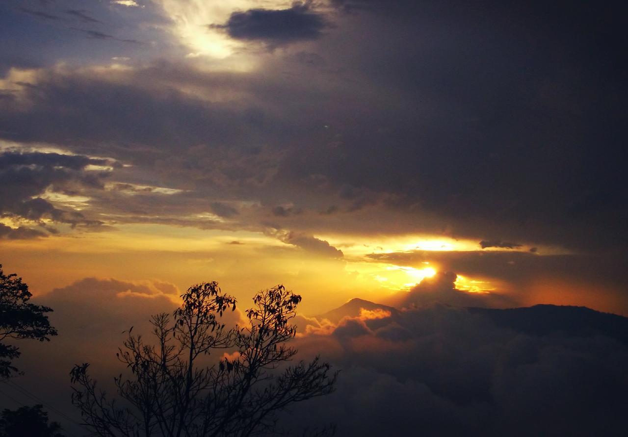 Family Homestay Kurseong Εξωτερικό φωτογραφία